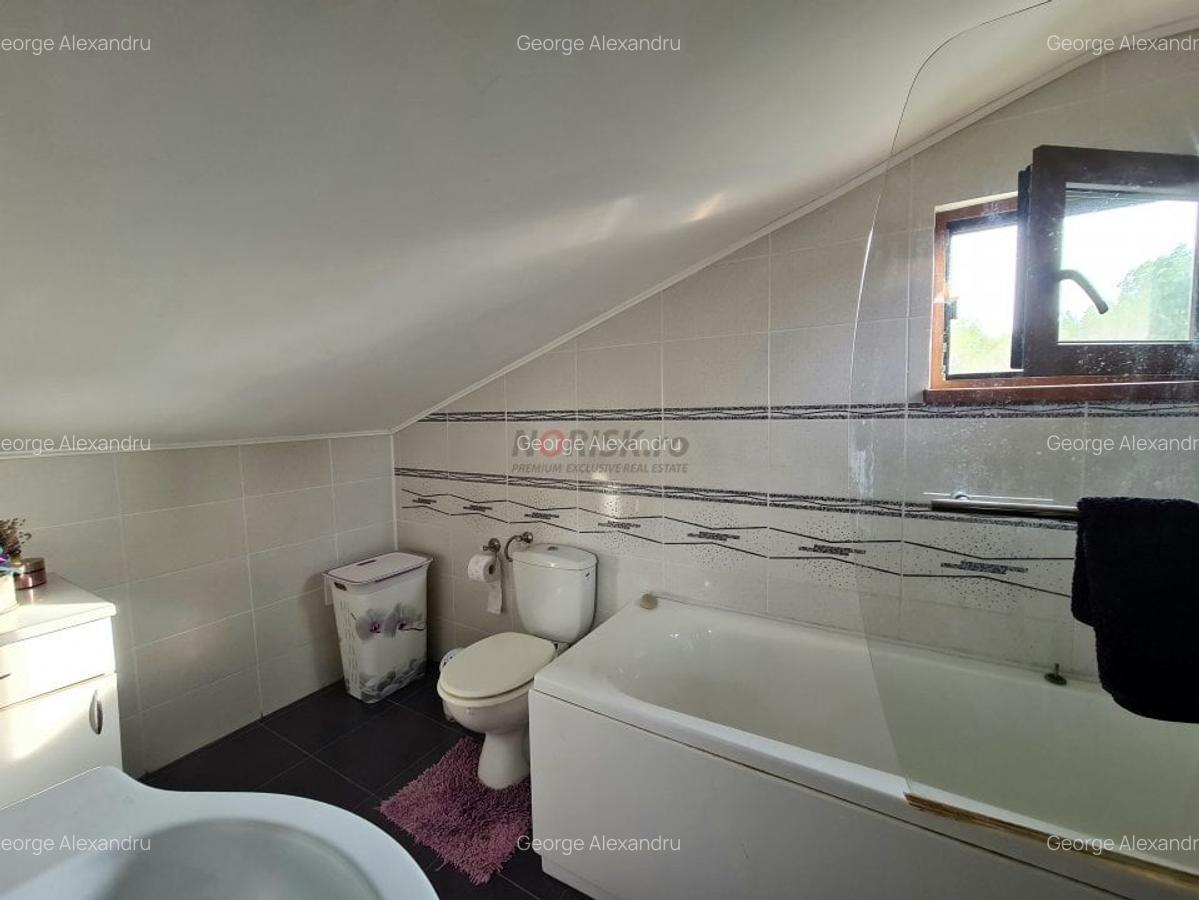 Vila + Afacere 15.000mp Clinceni - 22