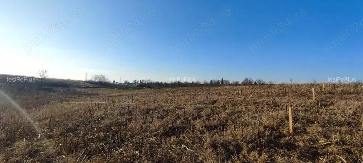 Teren 6.000 mp cu deschidere 30 m la drum asfaltat utilita?i la poarta, zona Peri?, 30 min BANEASA - 2