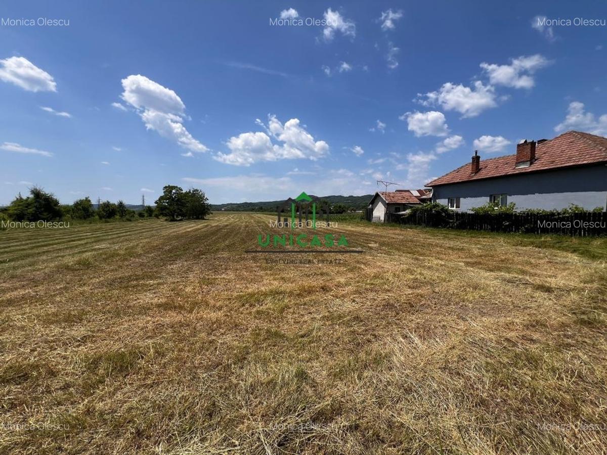Teren intravilan/Str Balciului/Copacelu - 6