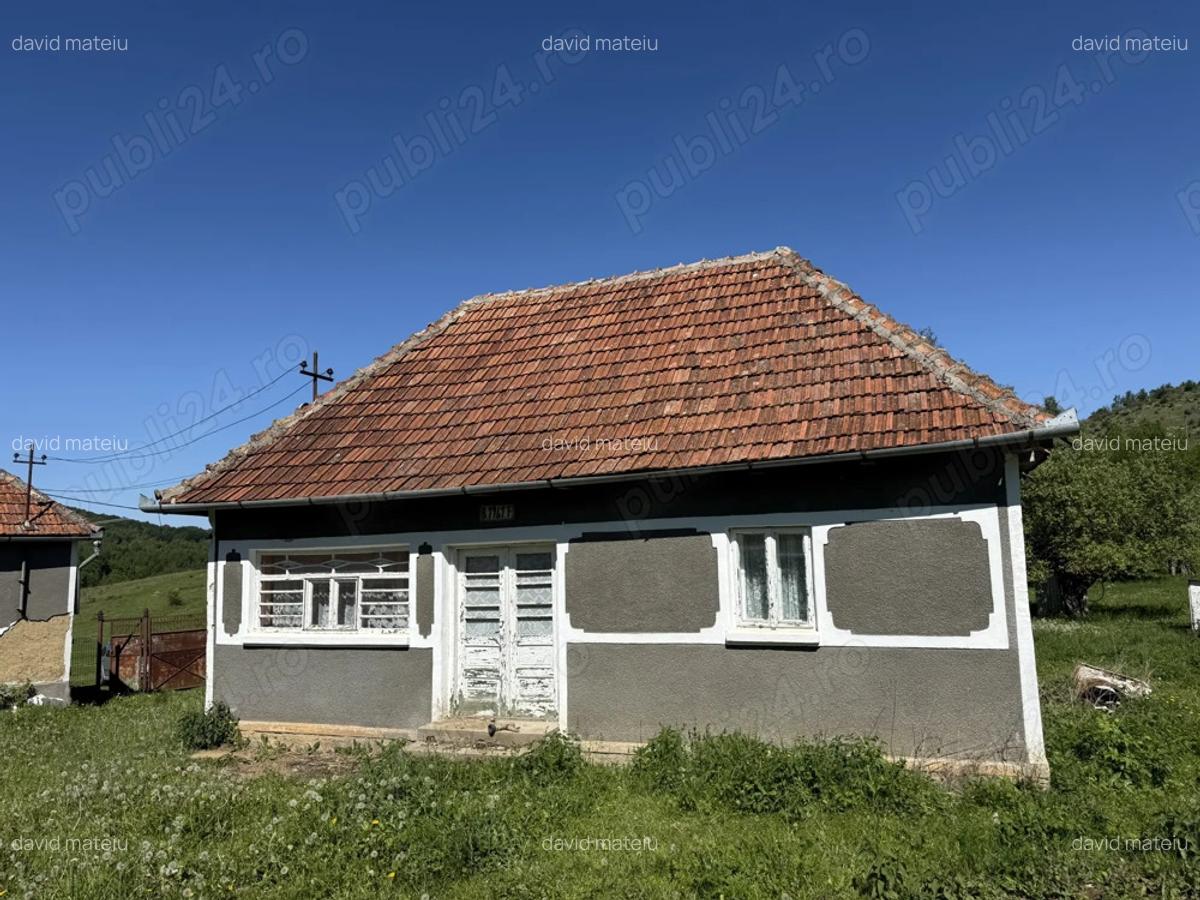 Vind casa in Tomnatic - 6