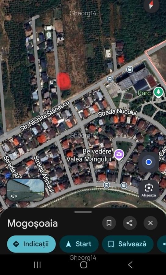 Vand teren intravilan in Mogoșoaia / Chitila   de 619mp - 3