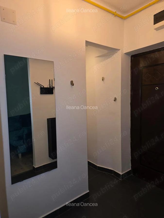 Apartament luminos 2 camere Pajura, vedere parc, metrou Jiului - 10