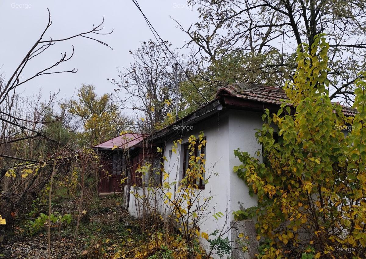 Casa batraneasca plus teren 1600mp Toporu jud. Giurgiu - 10