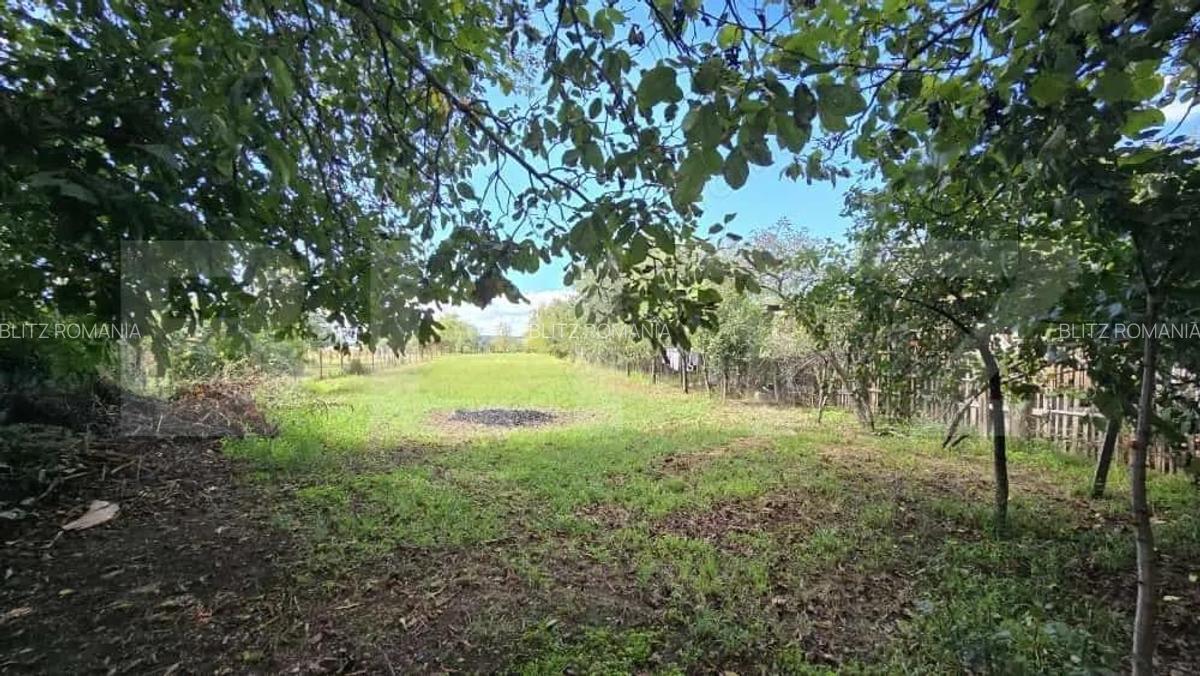 Casa cu 3 camere in Turdas - 9