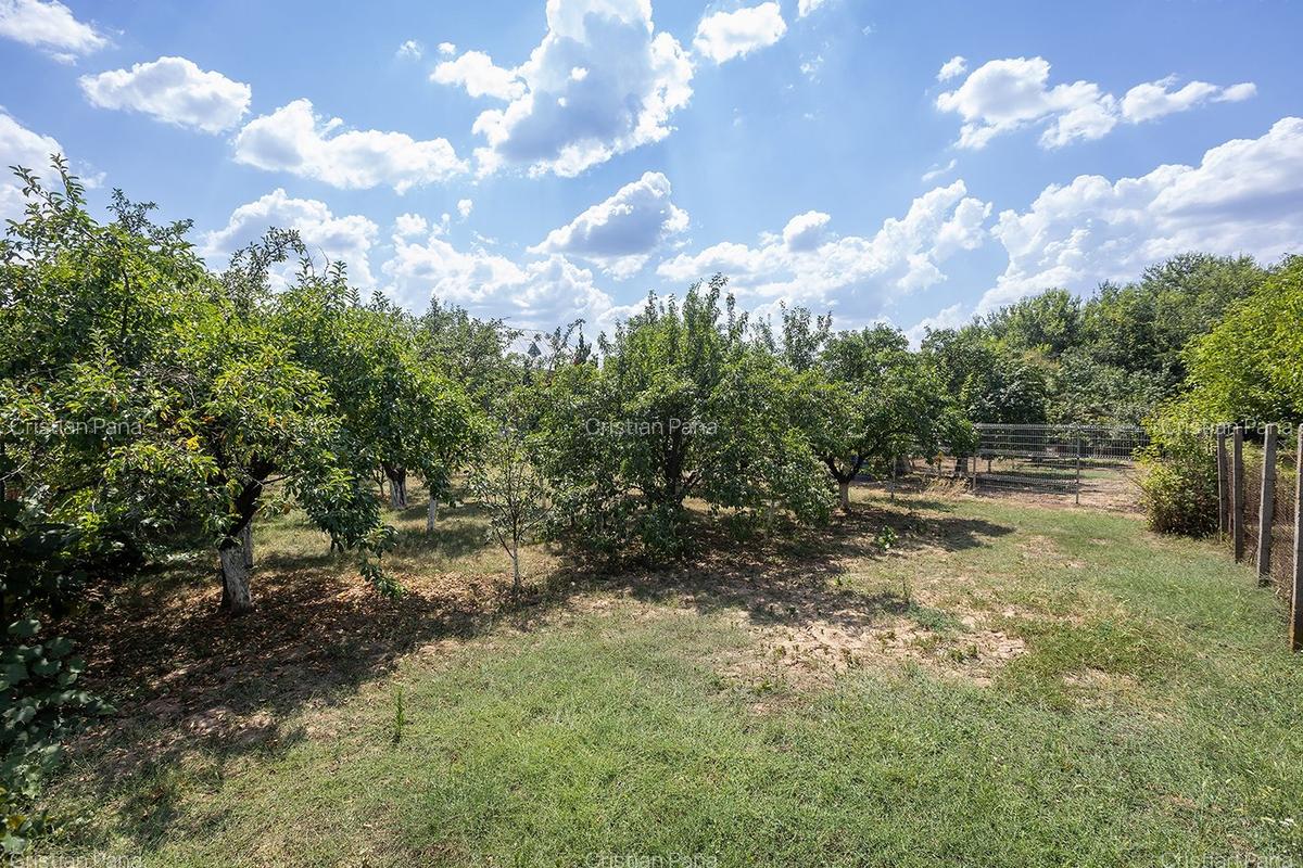 Balotești, 5 Camere, 200 mp utili, 1250 mp, într-o locație rară - 33