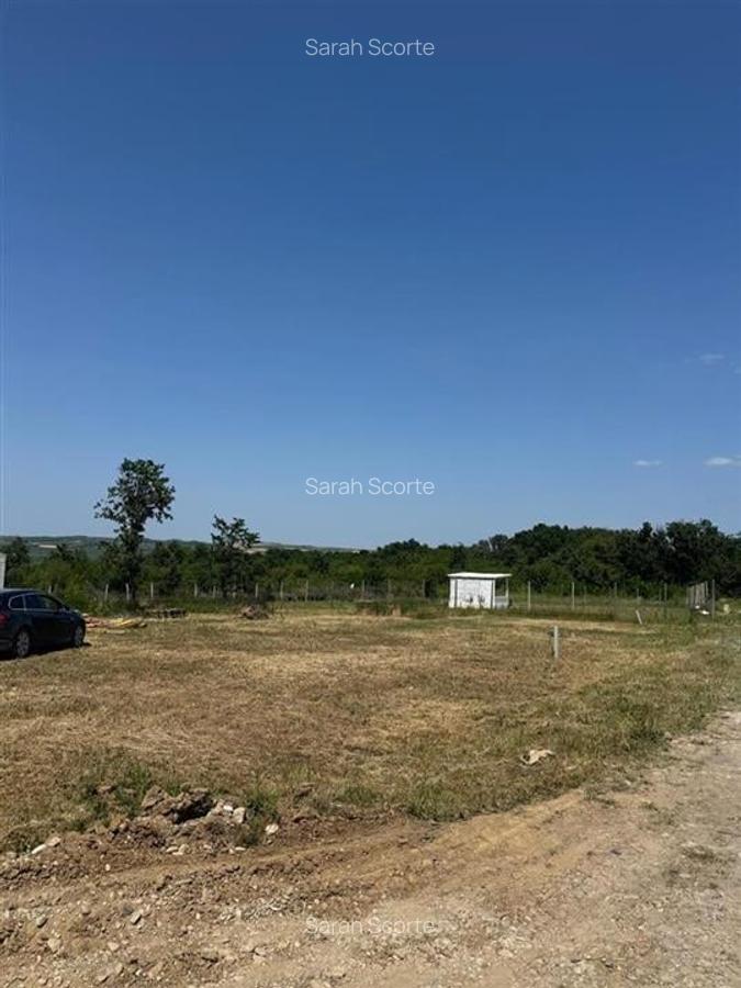 Teren Construcții intravilan de 550 mp, în Paleu - 1