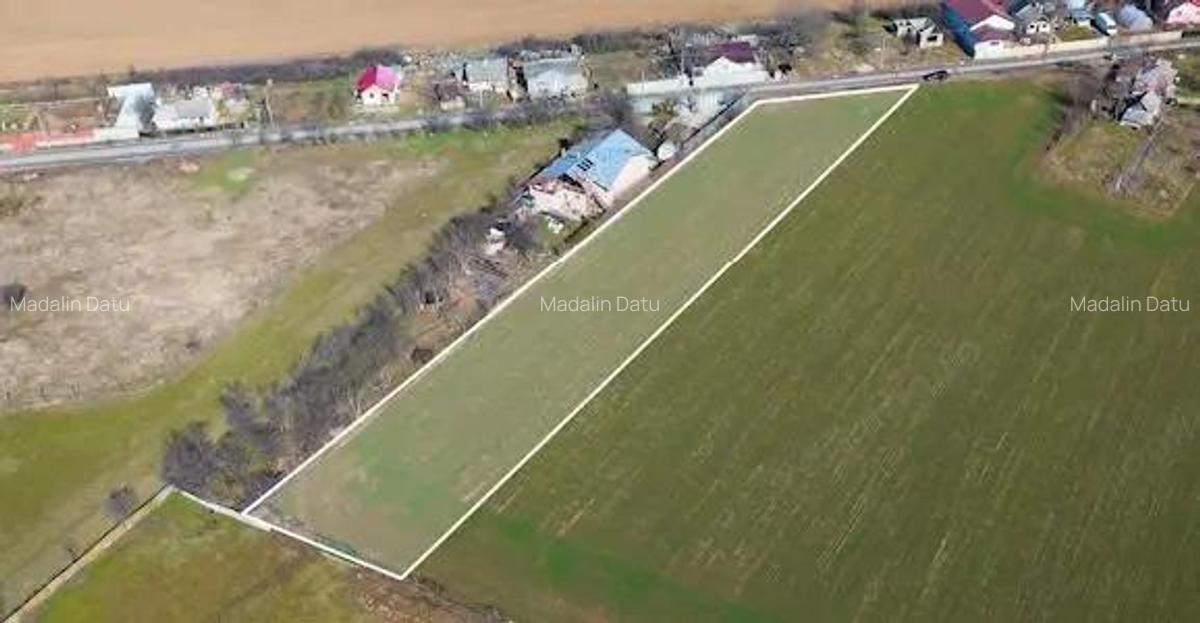 Ciolpani-Primarie-DN1-Toate Utilitatiile - 2