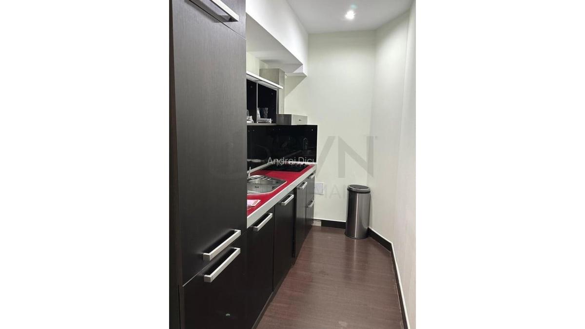 REA1025024 Apartament 2 Camere I De Inchiriat I Herastrau - 9