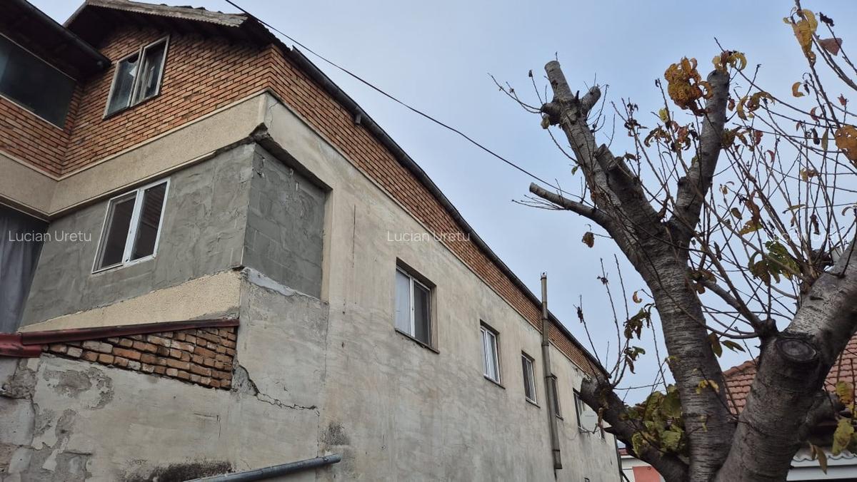 P+1+M | VILA | SPATIU COMERCIAL | INVESTITIE - 3