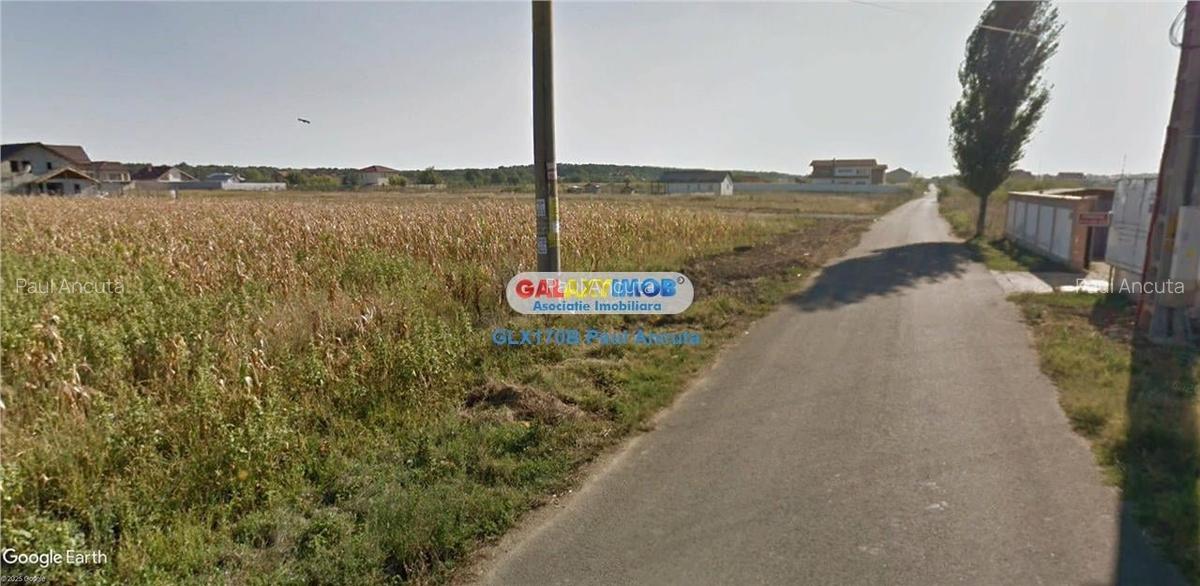 Teren 700 mp Snagov Ciofliceni la str Stefan cel Mare - 1