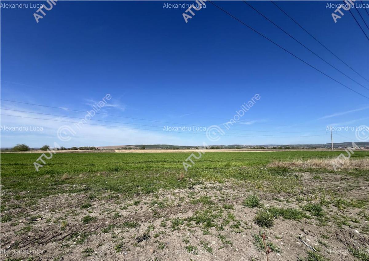 Teren intravilan in Sibiu 3300 mp situat in zona Calea Suri - 2