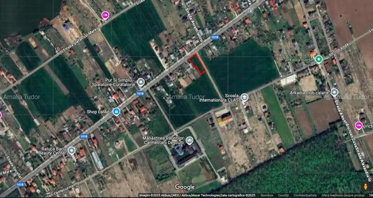 Teren 1.510mp la strada principala, dubla deschidere, Ciofliceni - Snagov! - 7