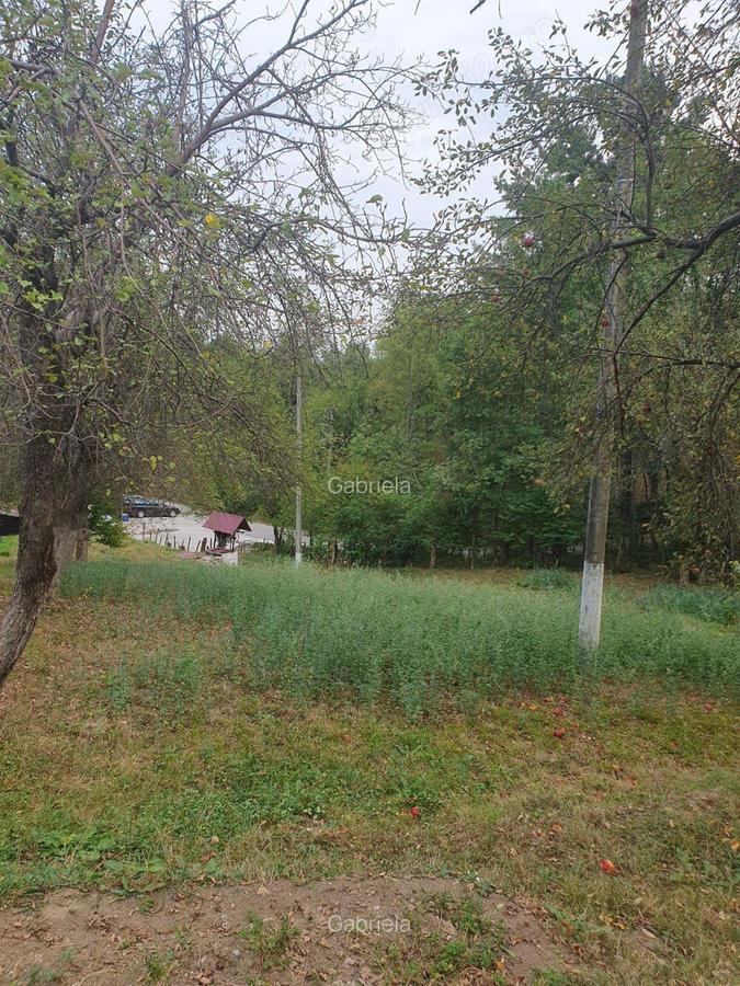 Casa + Teren de vanzare Stoenesti-Dobriceni ! Jud.Valcea - 8