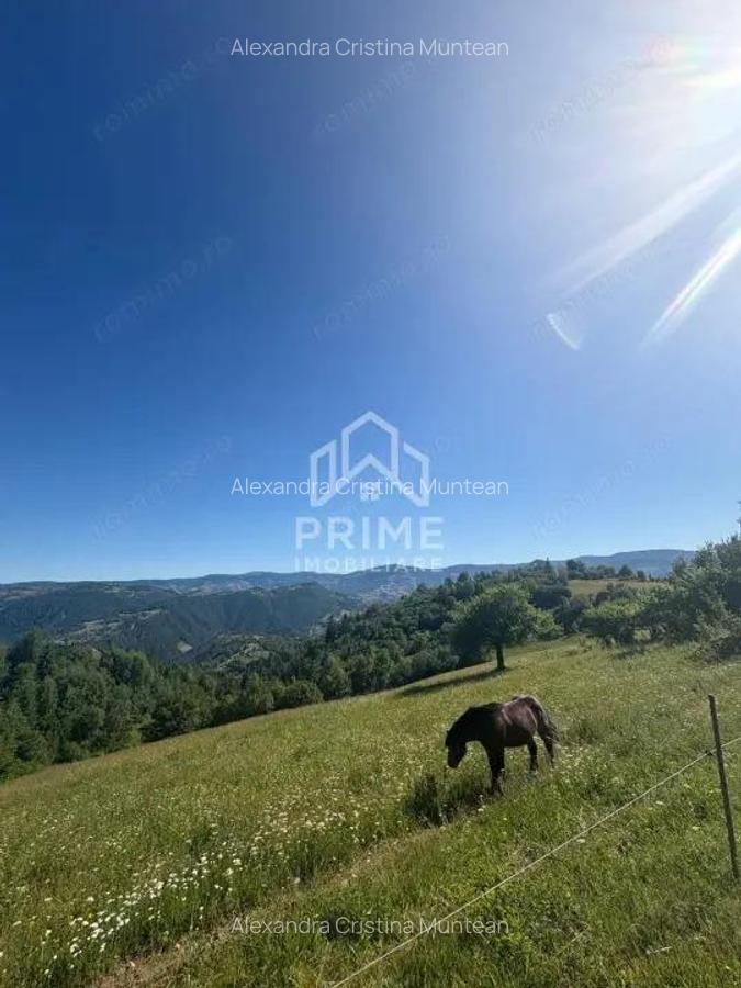 Teren intravilan de vanzare 11.136 mp | ALBAC | CU POSIBILITATE DE PARCELARE | - 1