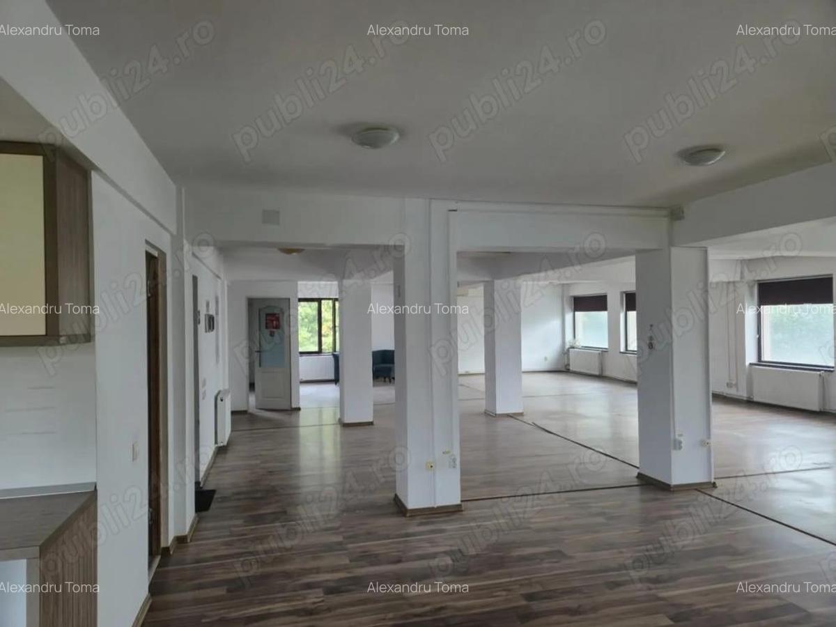 Spa?iu comercial birouri de inchiriat 200 mp, Str. Vasile Lupu 55 - 5 Spa?iu comercial birouri de inchiriat 200 mp, Str. Vasile Lupu 55 - 5