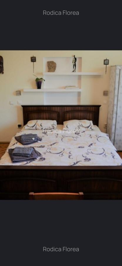 Garsoniera  spatioasa- moderna- centrul vechi - 3