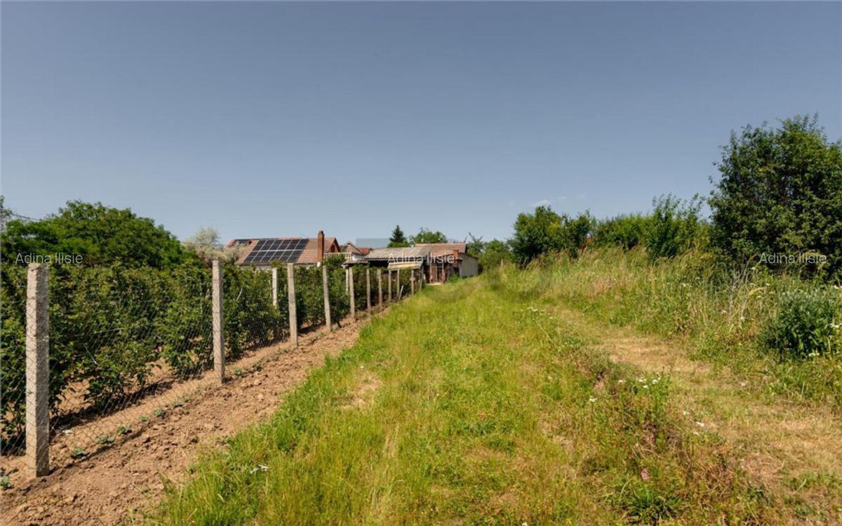 RECO Teren intravilan 1200 mp- front 30ml ,cu utilitati, Pa - 16