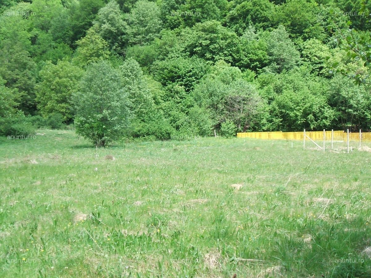 Raul Mare Retezat, Parcul National Retezat, Judetul Hunedoara - 2