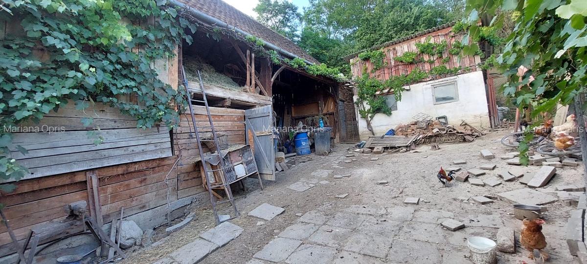 Casa 4 cam,suprafata utila 115mp, si teren 694mp,spre vanzare in Ocna Sibiului - 10