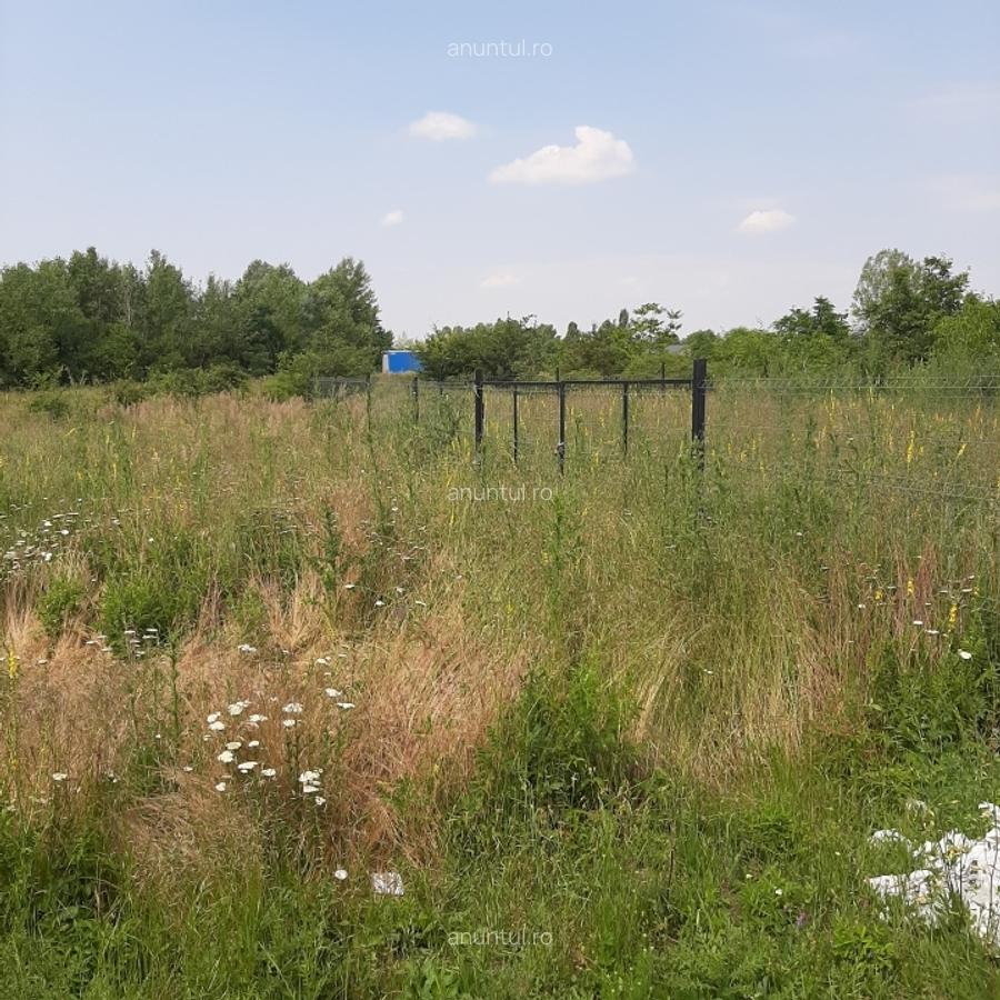 Domnesti, str. Salciei, teren 500 mp - 3