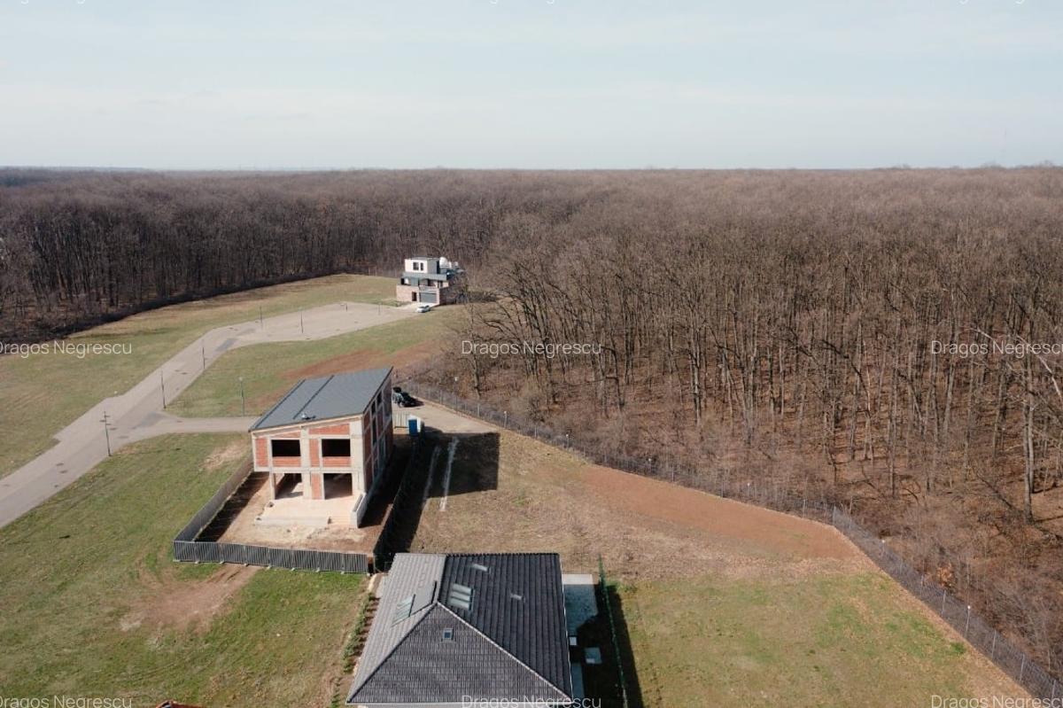 Teren de vis în Dumbrava Vlăsiei – 1290 mp, la marginea pădurii mature - 2