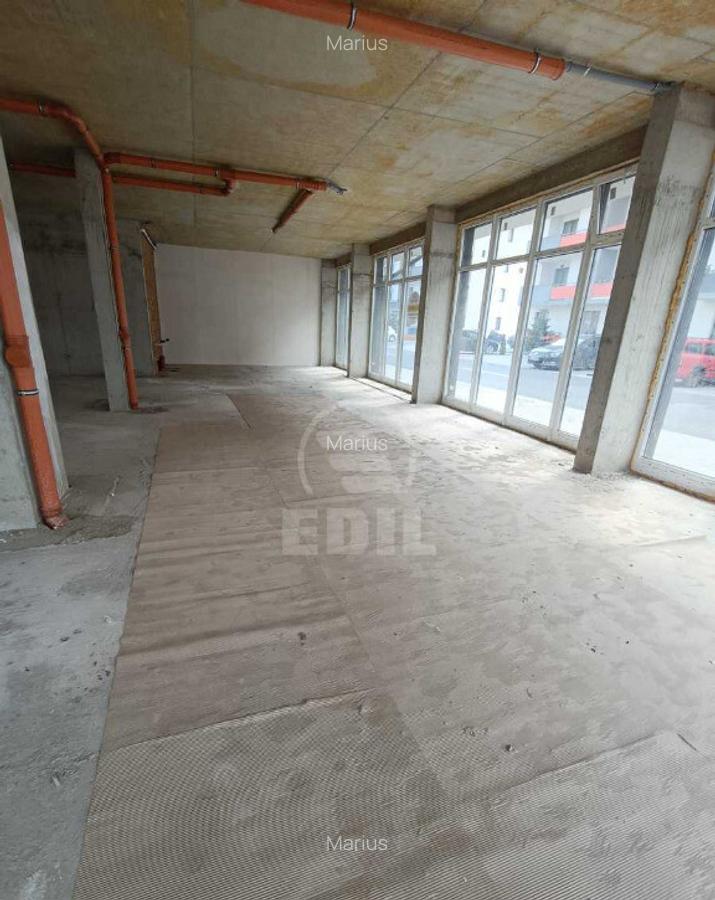 Spatiu comercial de vanzare, Terra - 6