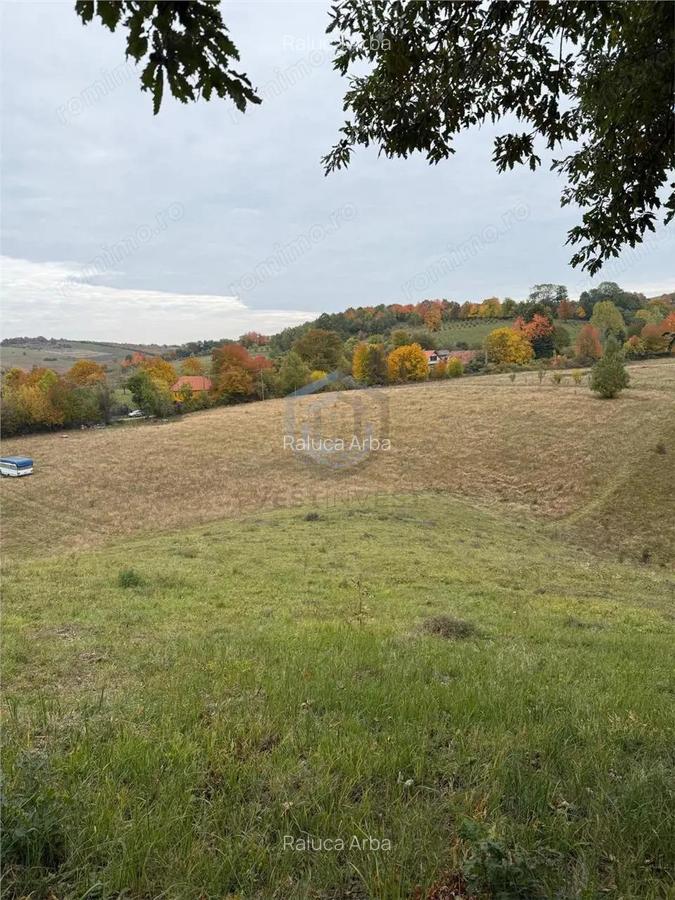 Teren intravilan 17,265 mp in Tomnatic, comuna Vadu Crisului - 6