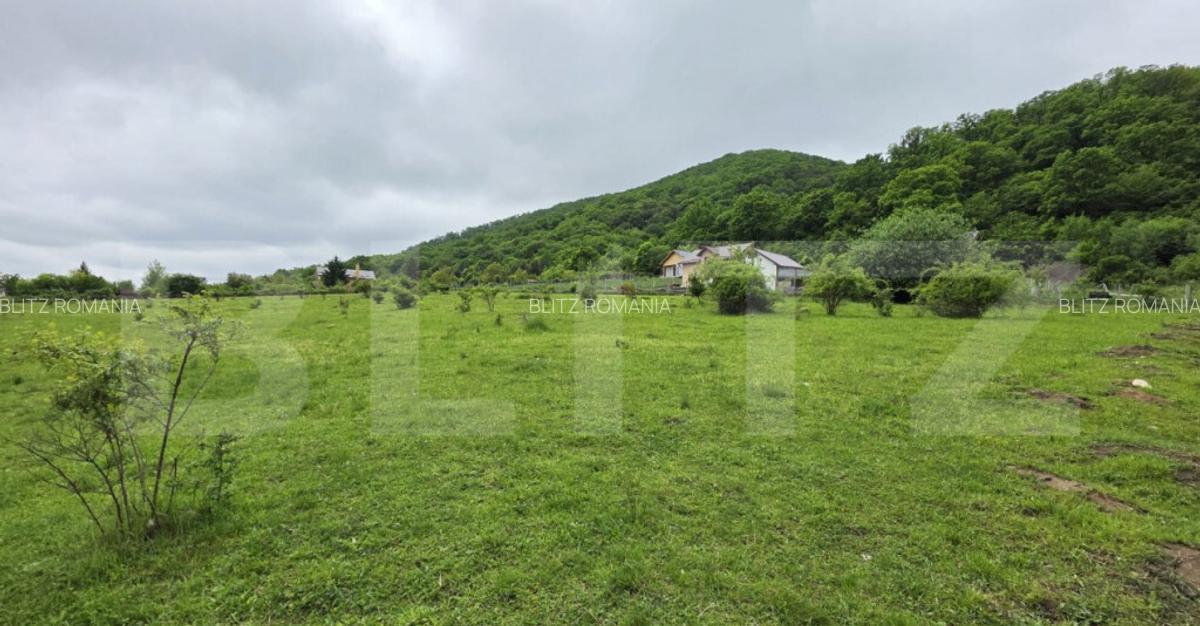 Teren intravilan de vanzare, 14,5 ari, zona Sud-Bistrita - 1