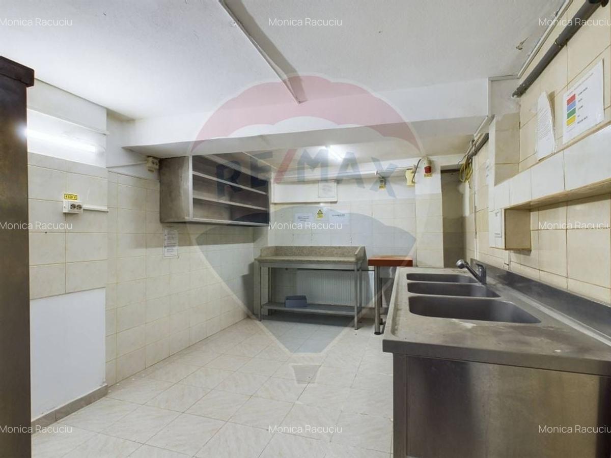 Spatiu Comercial cu 4 camere de vanzare Ultracentral - 12