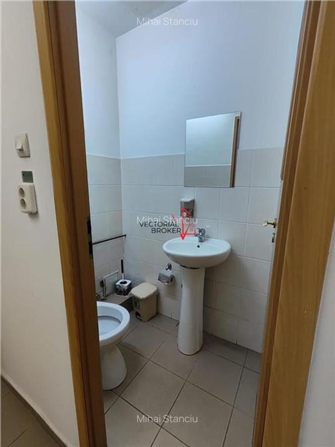 Inchiriere spatiu comercial, Intersectie Sos. Pantelimon cu Bd Ferdinand, aproap - 11