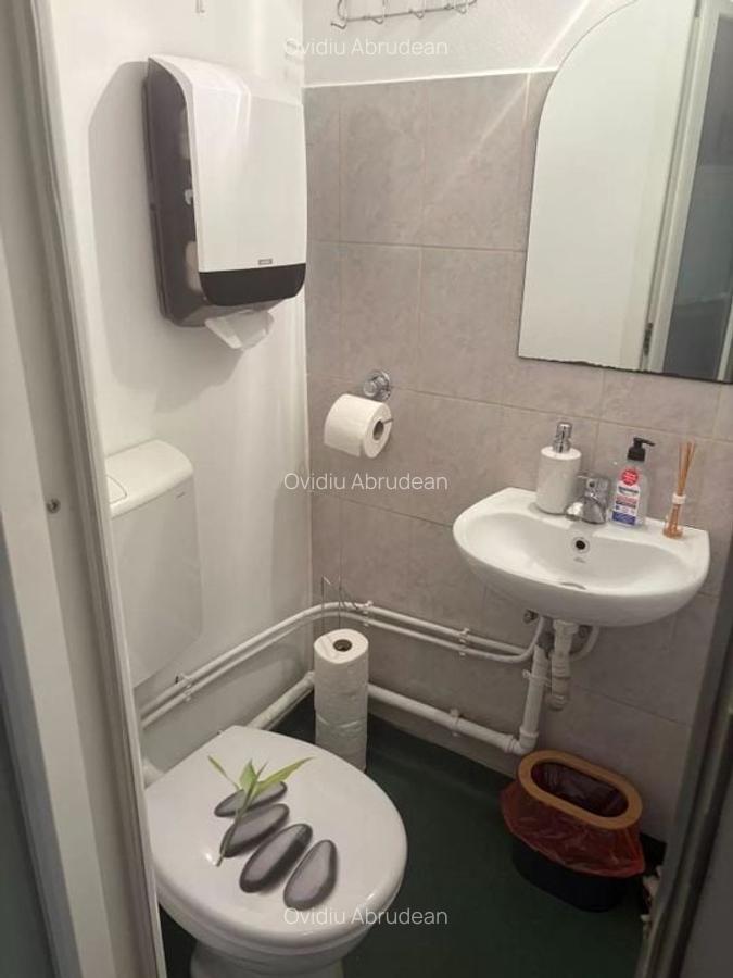 Apartament 2 camere Parcul Central - 15