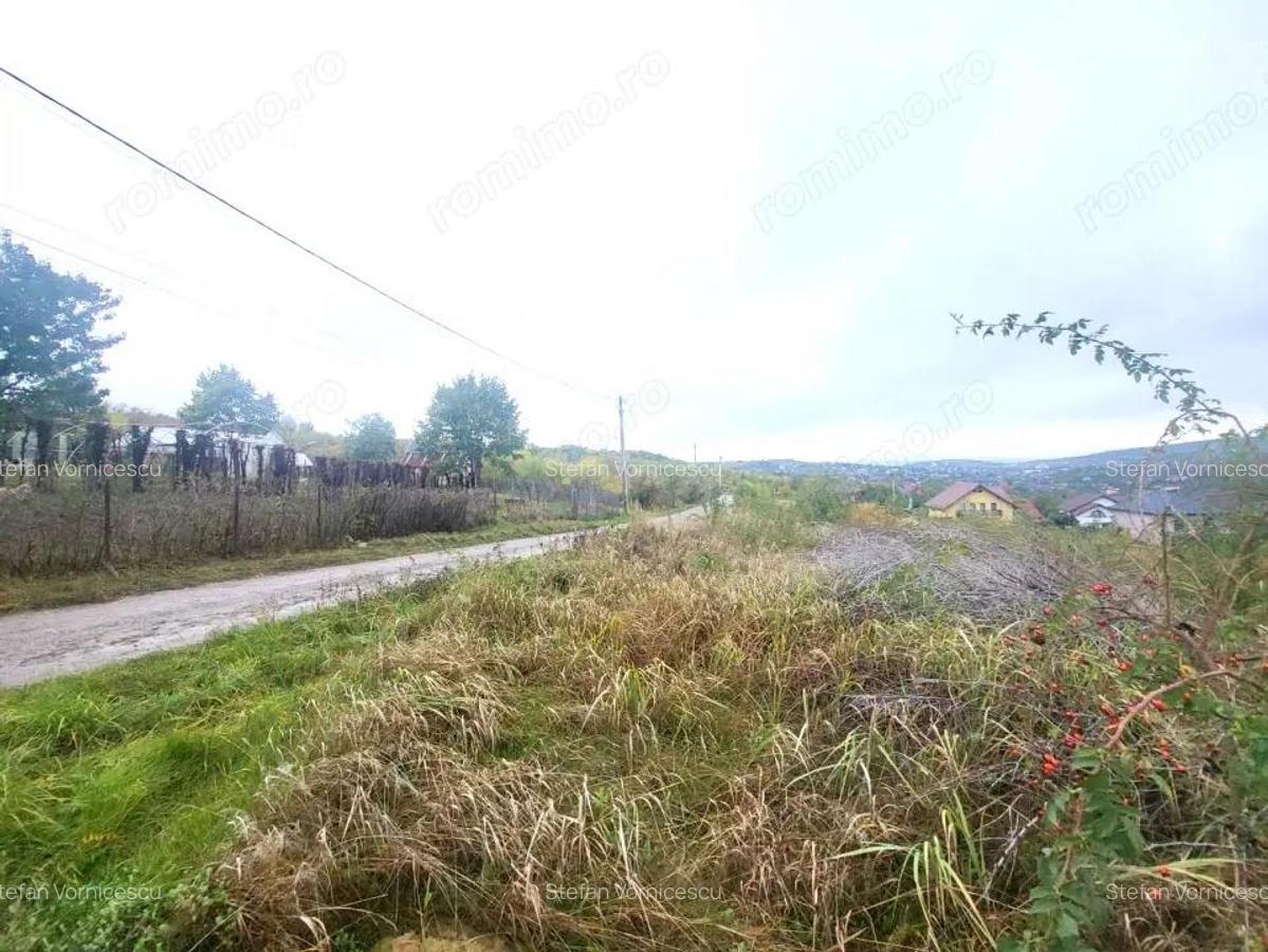 Teren de vanzare Barnova, cu priveliste Vanzare imediata - 2
