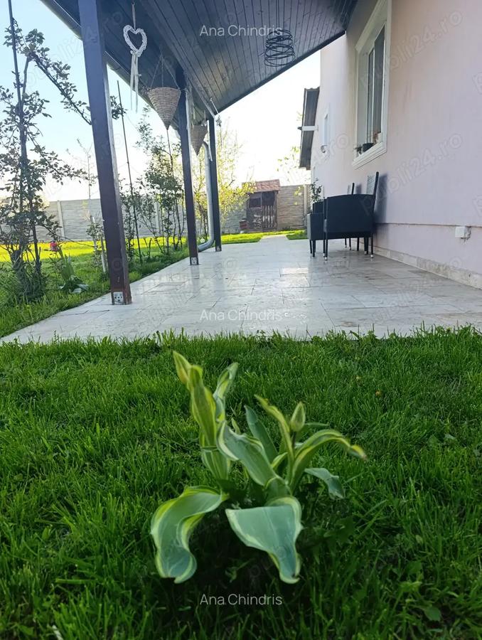 Casa individuala P+M Sanmihaiu Roman - 12