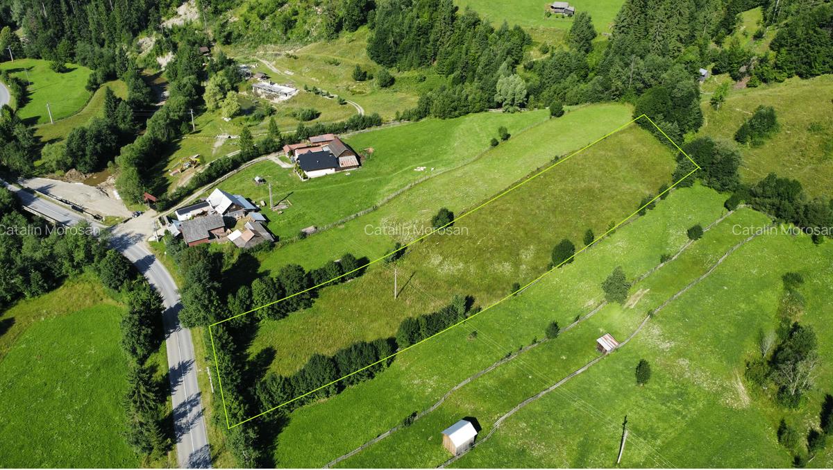 Teren intravilan 6527 mp Stulpicani - Bucovina - 2