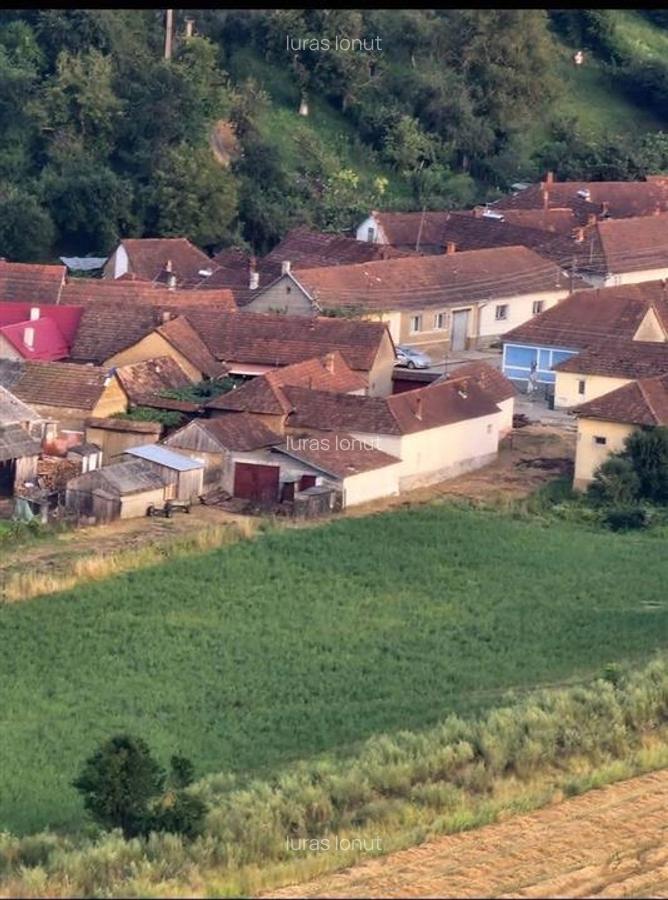 RECO Casa cu teren in Suncuius de Beius - 7