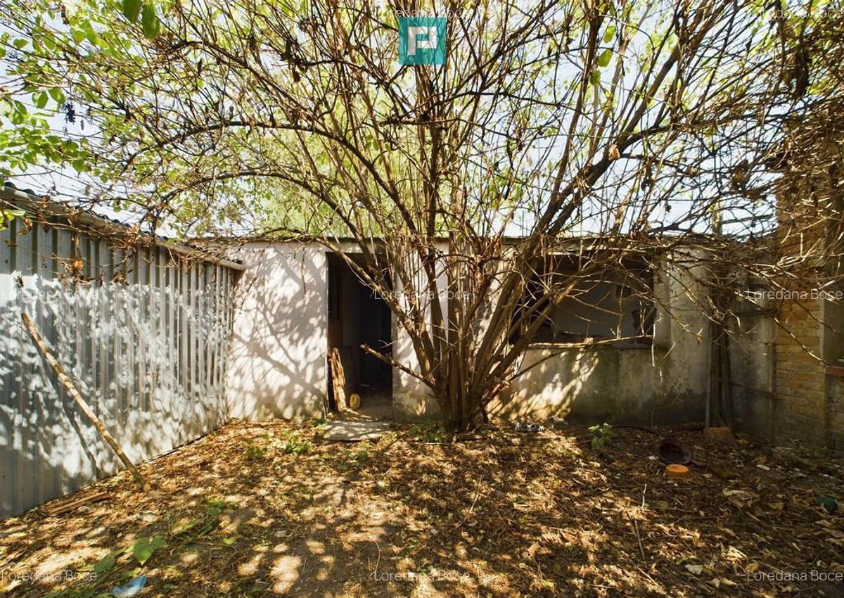 Casa batraneasca in Sustra, Timis - 4