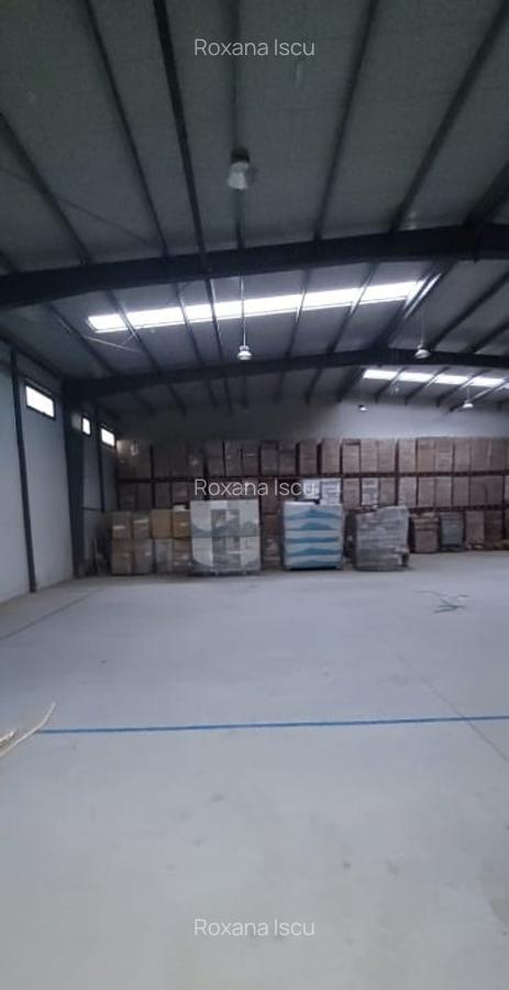 Spațiu industrial de închiriat – 760 mp – Mogosoaia, Promax Industrial Park - 3