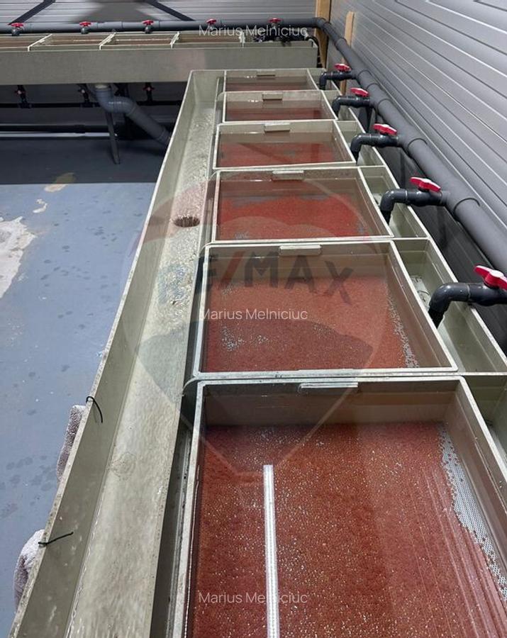 Pastravarie smart/ functionala/ Com.Rosia Bihor - 36