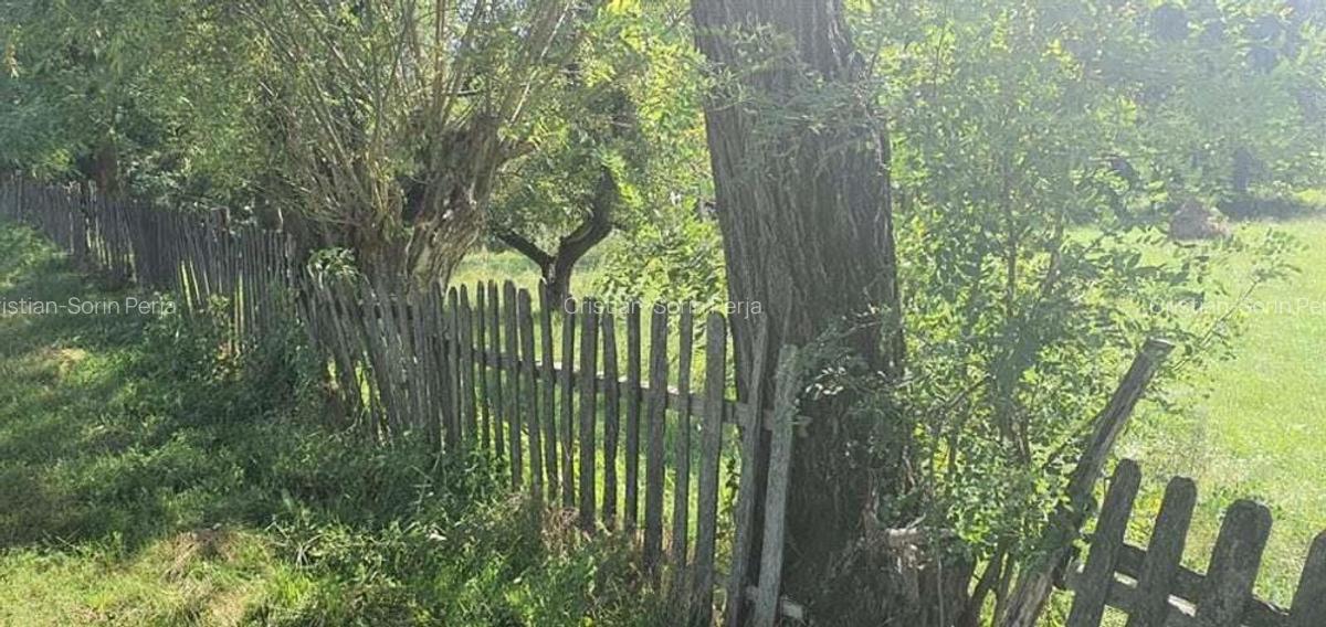 Teren Poienari la doar 9 km de Cetate - 3