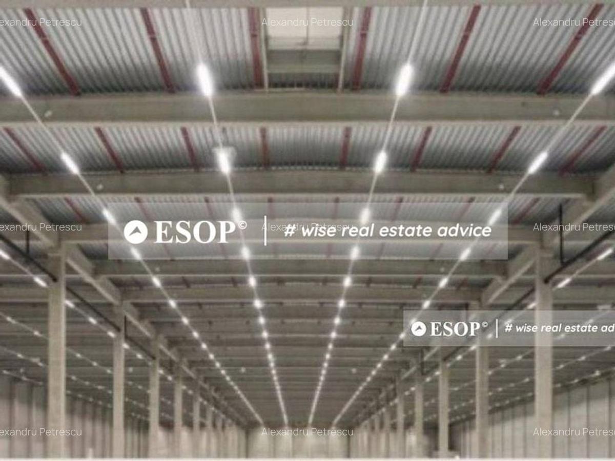 WDP Industrial Park Codlea, hale industriale, 0%comision, 2300-32870mp - 4 WDP Industrial Park Codlea, hale industriale, 0%comision, 2300-32870mp - 4