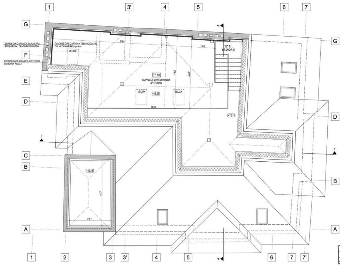 Investitie Vila Istorica reconstruita integral, inchiriata - 29