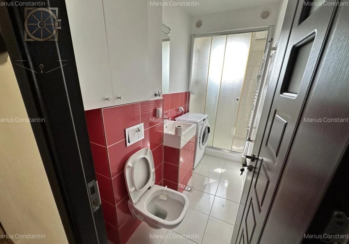 Garsoniera Gorjului - 11