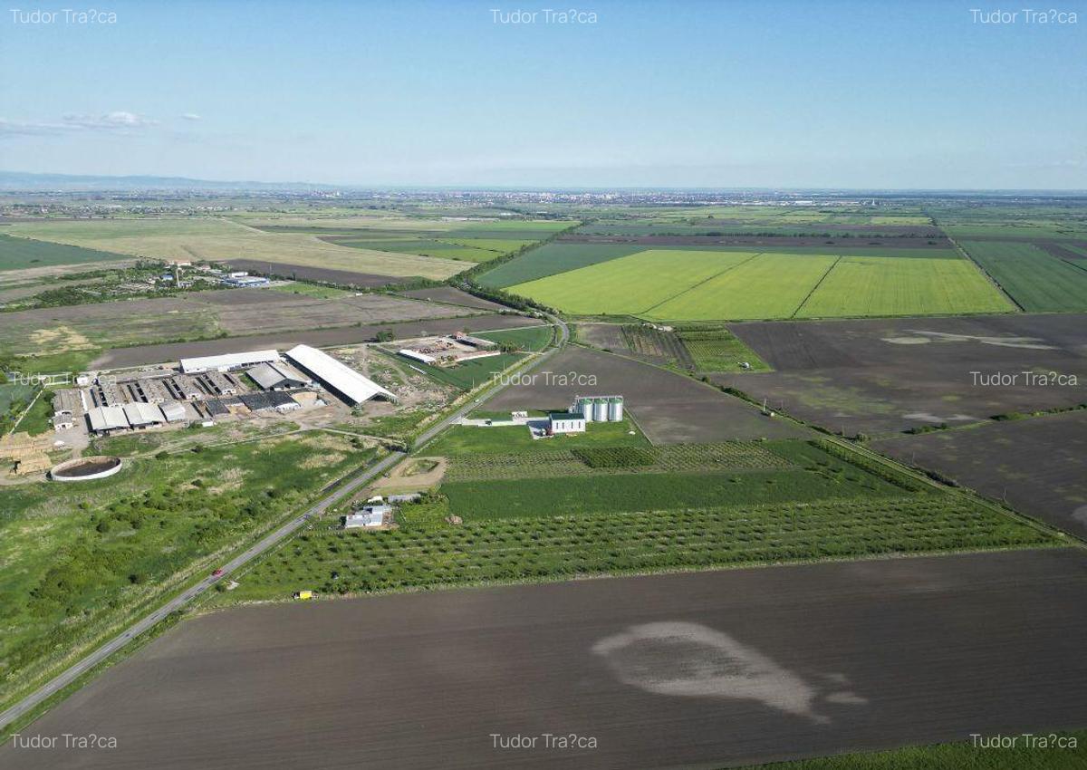 Livada de nuci ?i pruni 2.4ha in Varia?ul Mare - 4