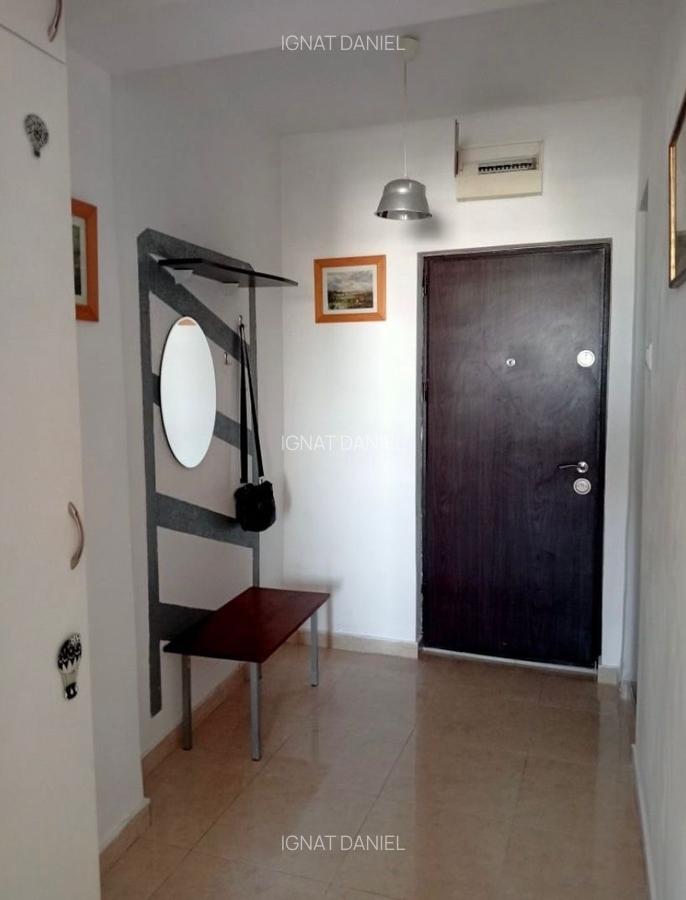 Apartament cu 1 camera, PET FRIENDLY, zona Podu Ros - 4