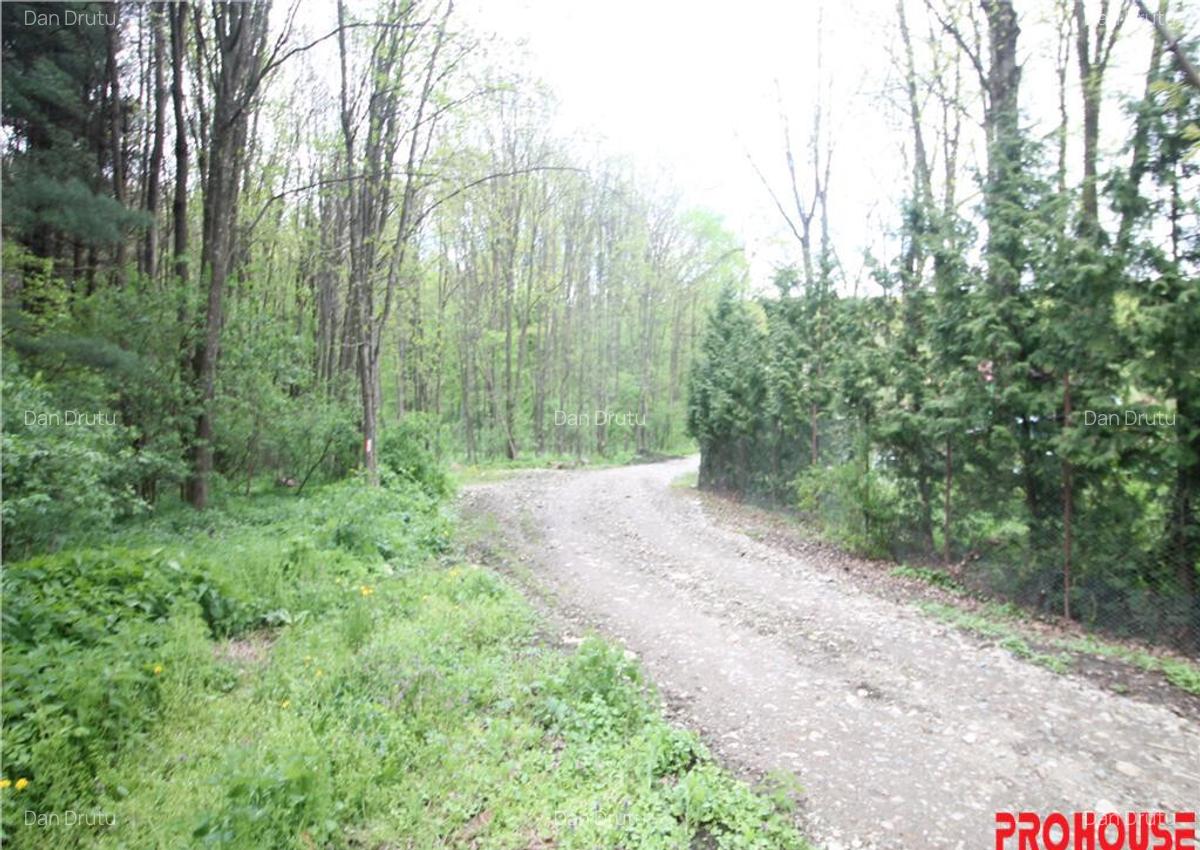 Valea Budului - Teren intravilan. Lac. Padure - 11