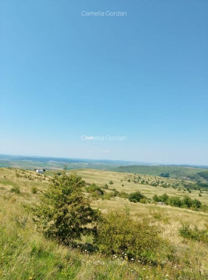 Vanzare 2 parcele de teren intravilan, Chinteni, pret unitar 10900 Eur - 2