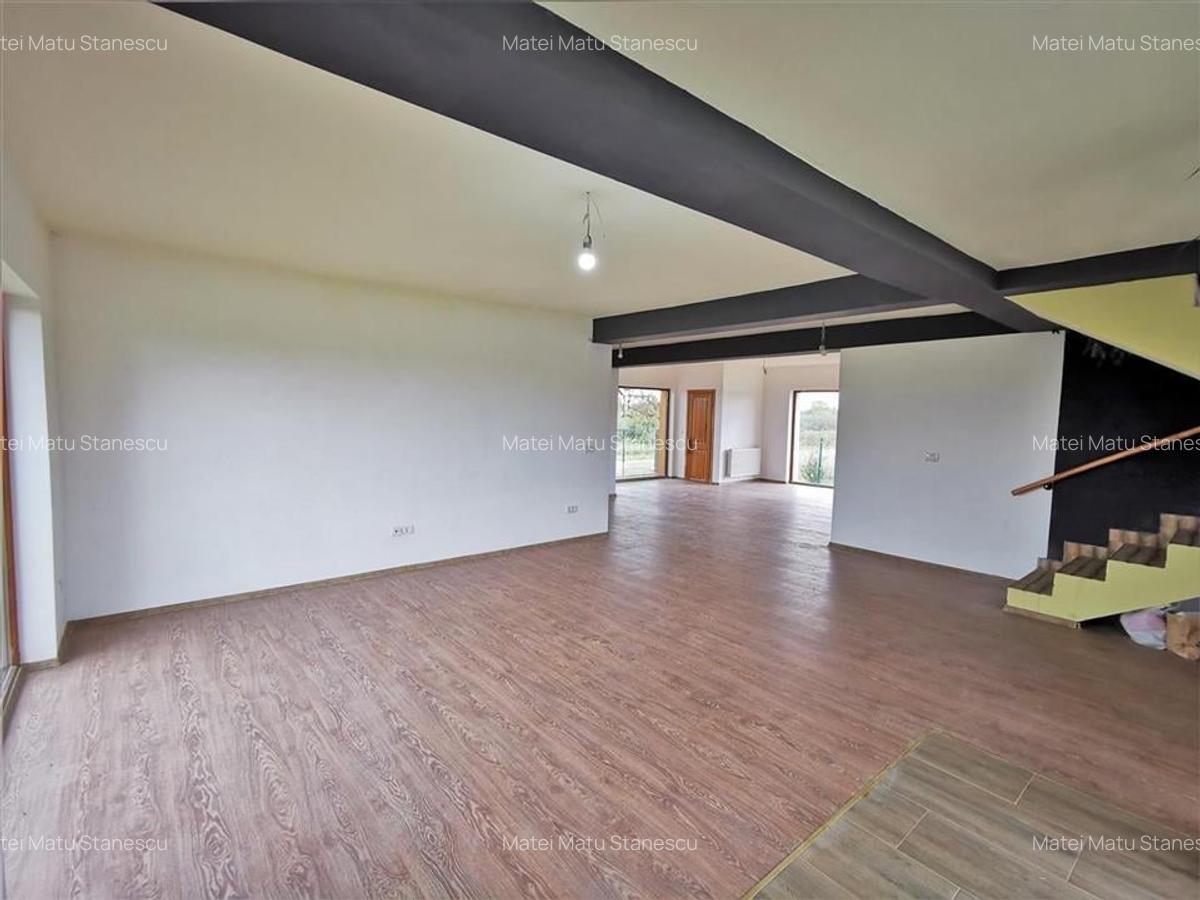 Vila Deosebita Rudicica - 9