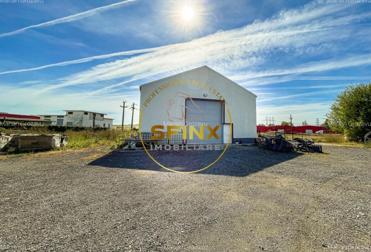 Spatiu logistic teren 12.452 mp hala 430 mp - 7