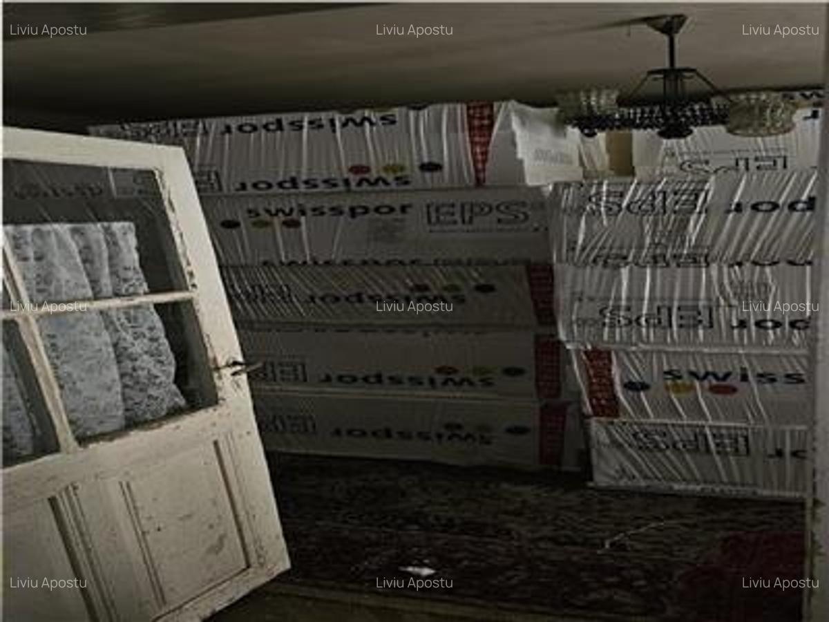 Vanzare Casa individuala + Teren Gara de Nord - 2