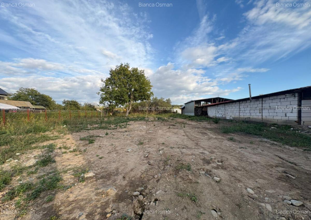 Teren 4449 mp cu utilitati, Curtisoara - la 13 km Tg. Jiu - 4